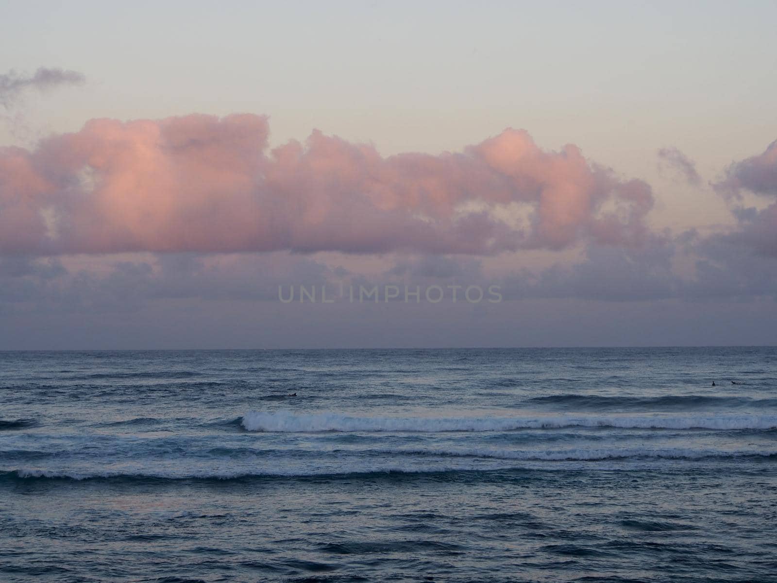 Beautiful pink and purple Dawn over the ocean with waves rolling towards the shore on the North Shore of Oahu with surfers in the water.    