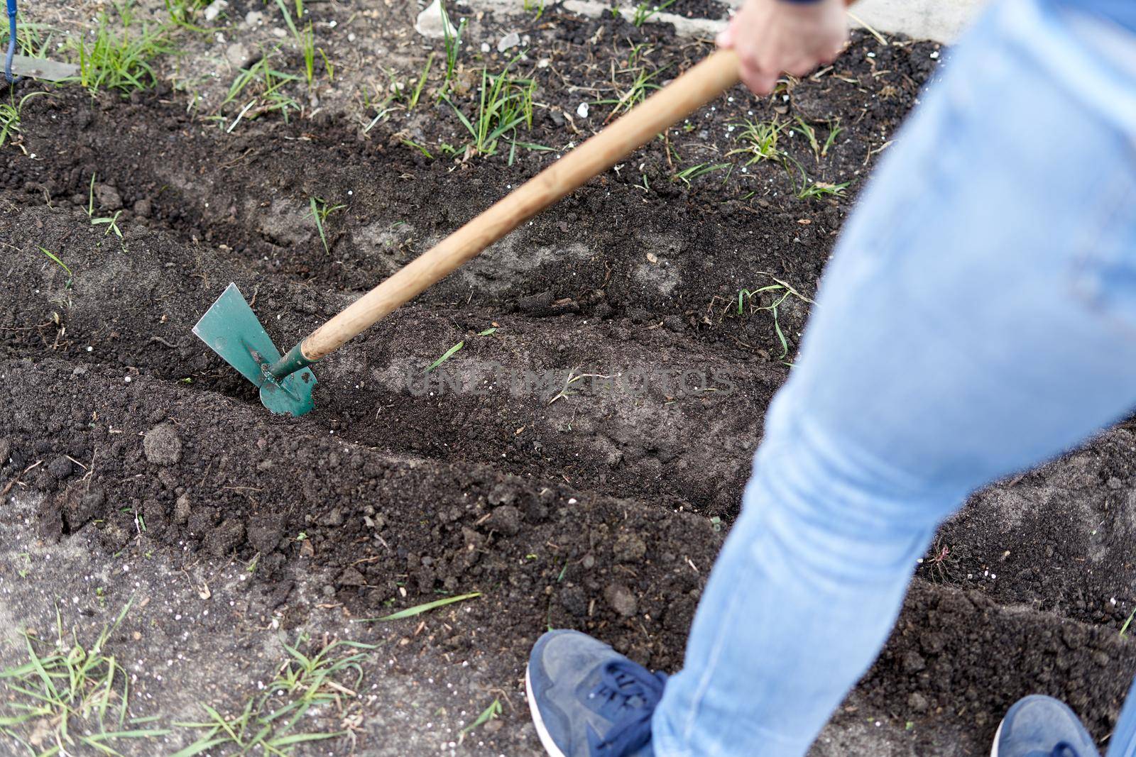 Cropped photo of a unrecognizable person using a hoe to till the soil of a home vegetable garden