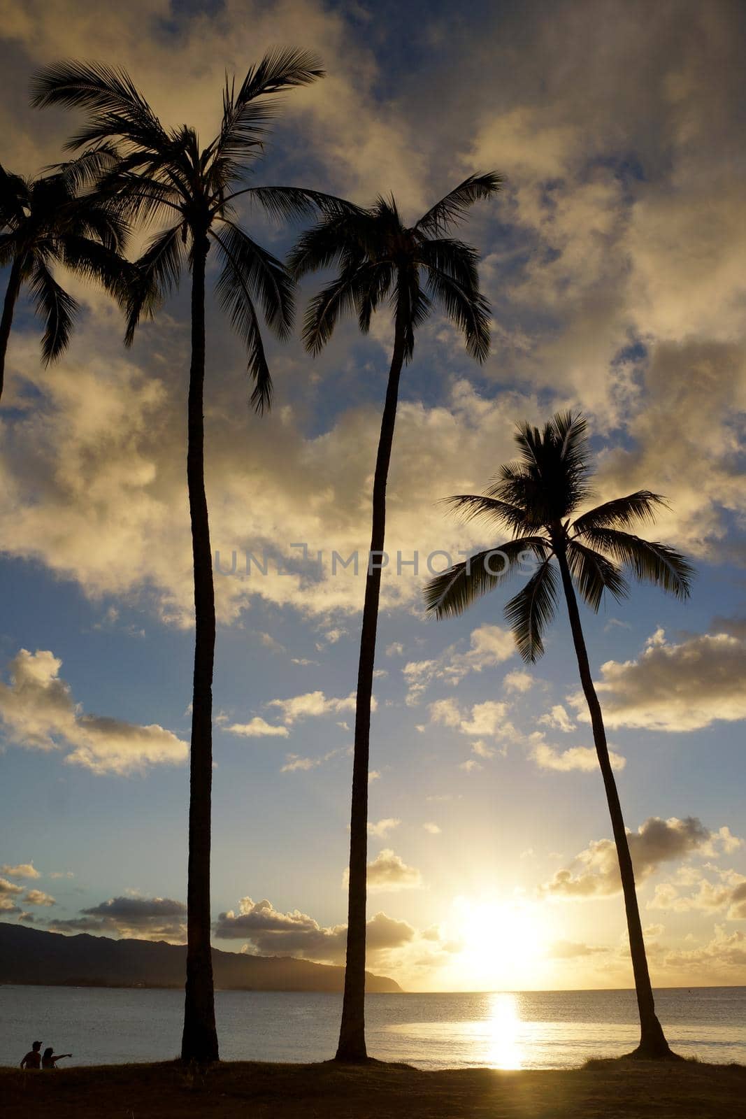 Sunset through the coconut trees on the coast of Hale'iwa Beach Park by EricGBVD