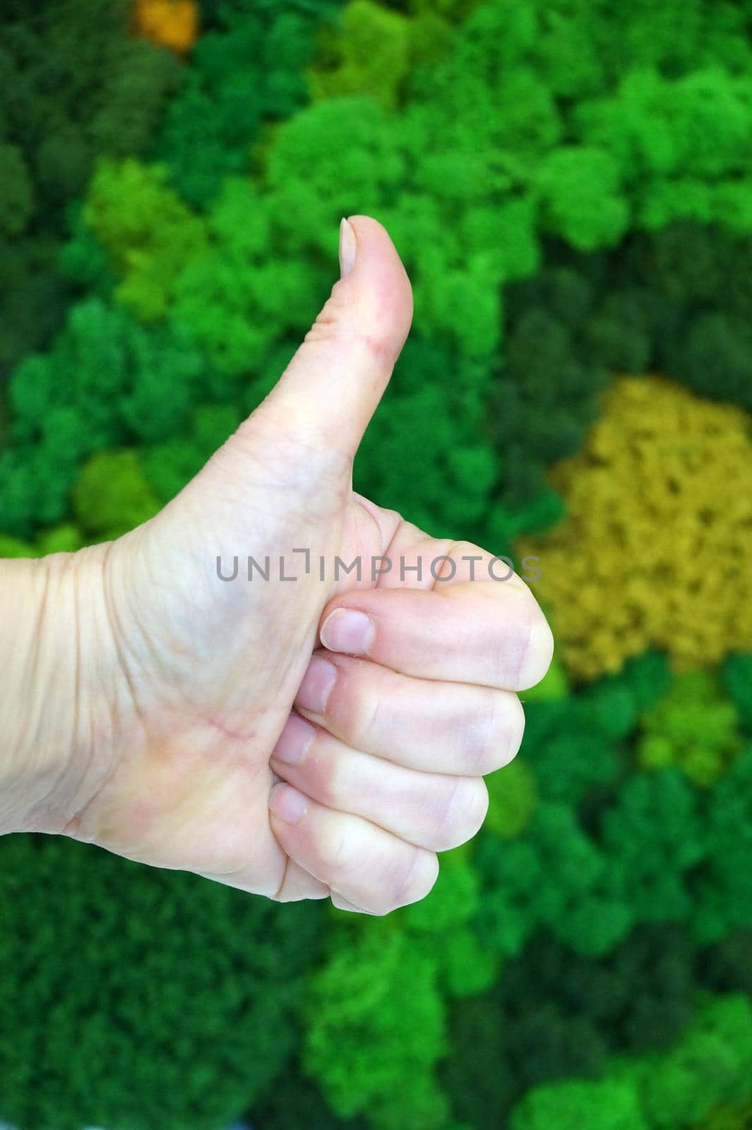 hand with thumb up showing super against wall background of green decorative stabilized moss.