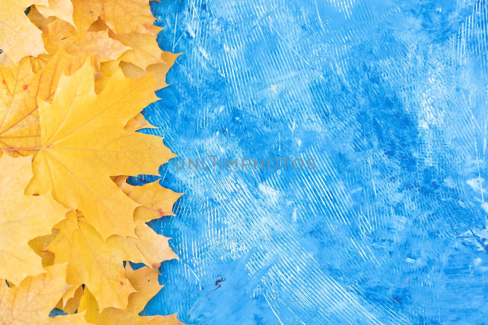 Autumn leaves frame on blue background top view Fall Border yellow and Orange Leaves vintage structure table Copy space for text. by andreonegin