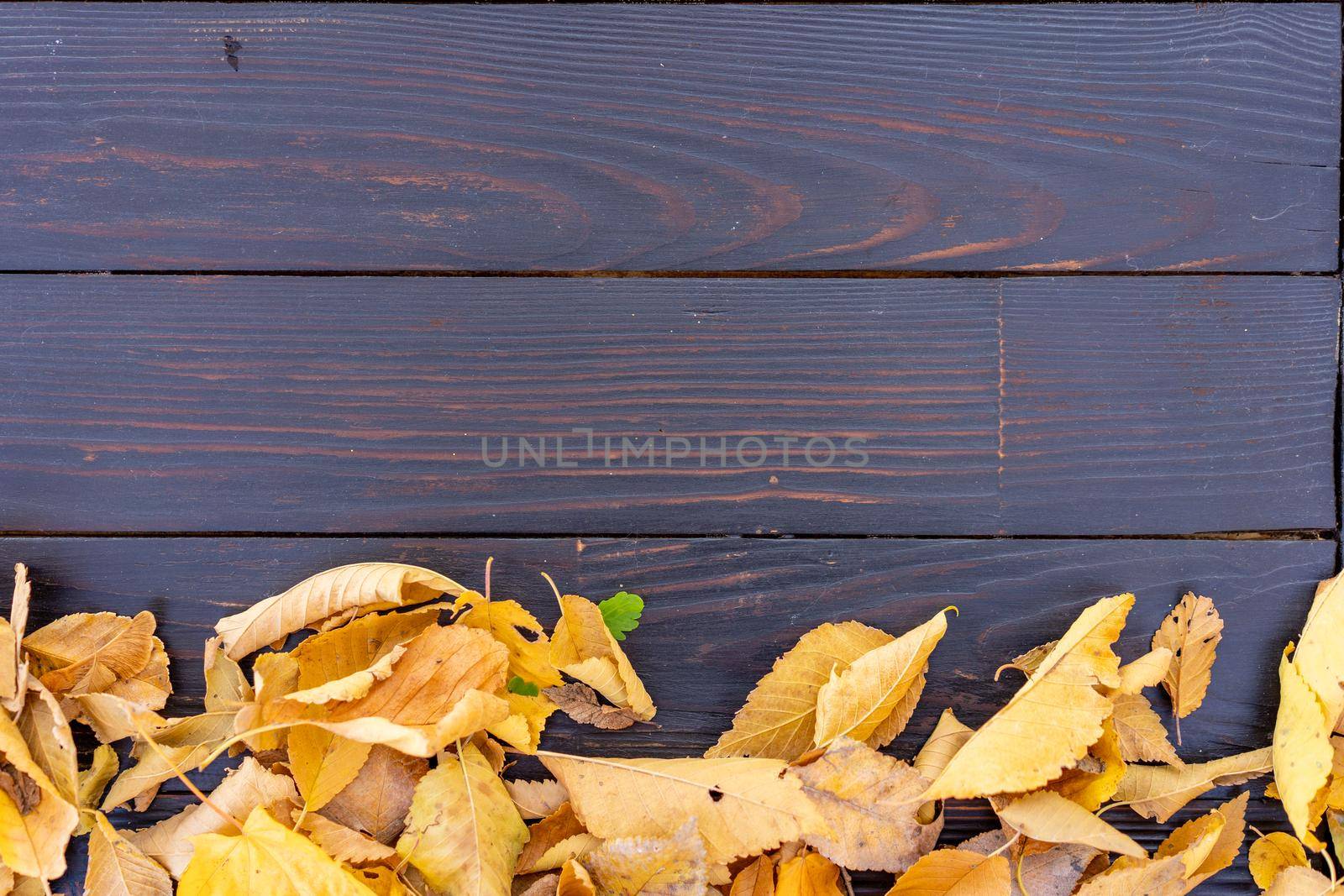 Autumn leaves frame on down side black Chalkboard background top view Fall Border yellow maple Leaves vintage background table Mock up for your design. Display for product or text, Back to school.