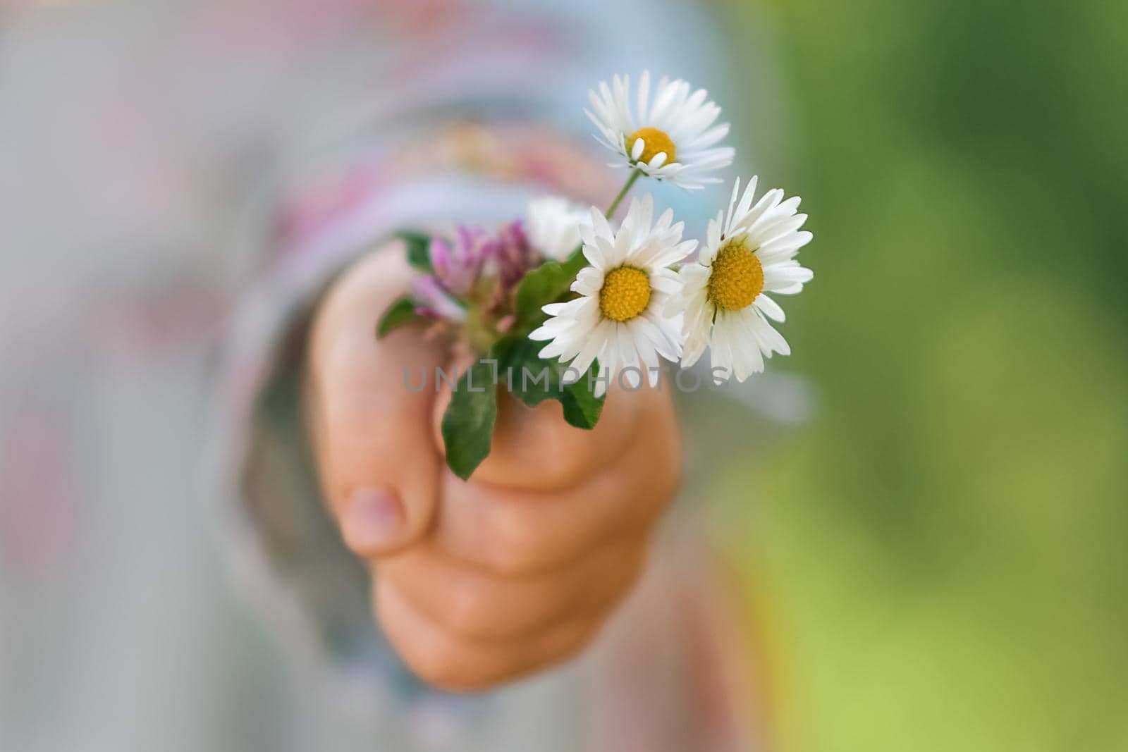 Girl holding a bouquet of daisies in her hand