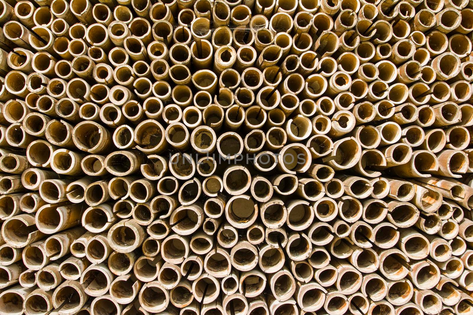 Bamboo rings of different diameters for background or texture