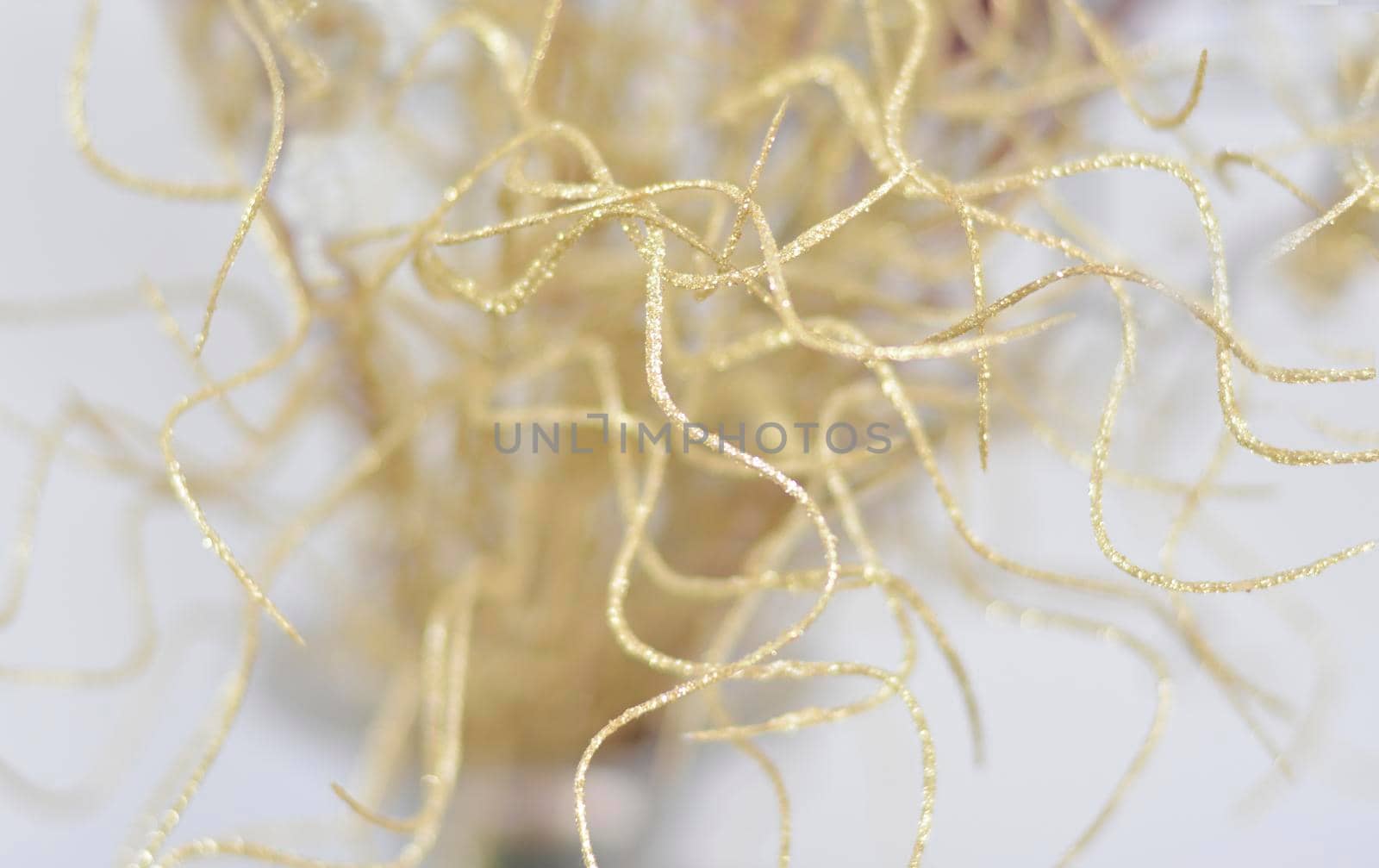 Texture or background of golden shiny lines
