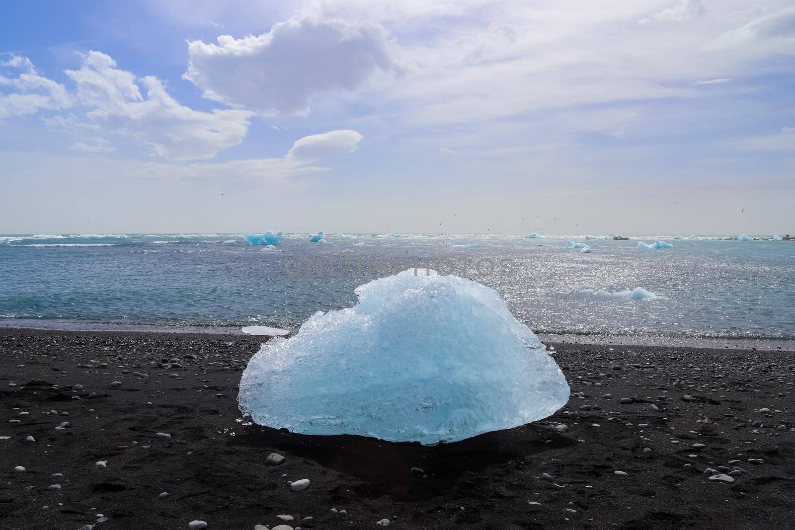 Diamond Beach in Iceland with blue icebergs melting on black sand and ice glistening with sunlight