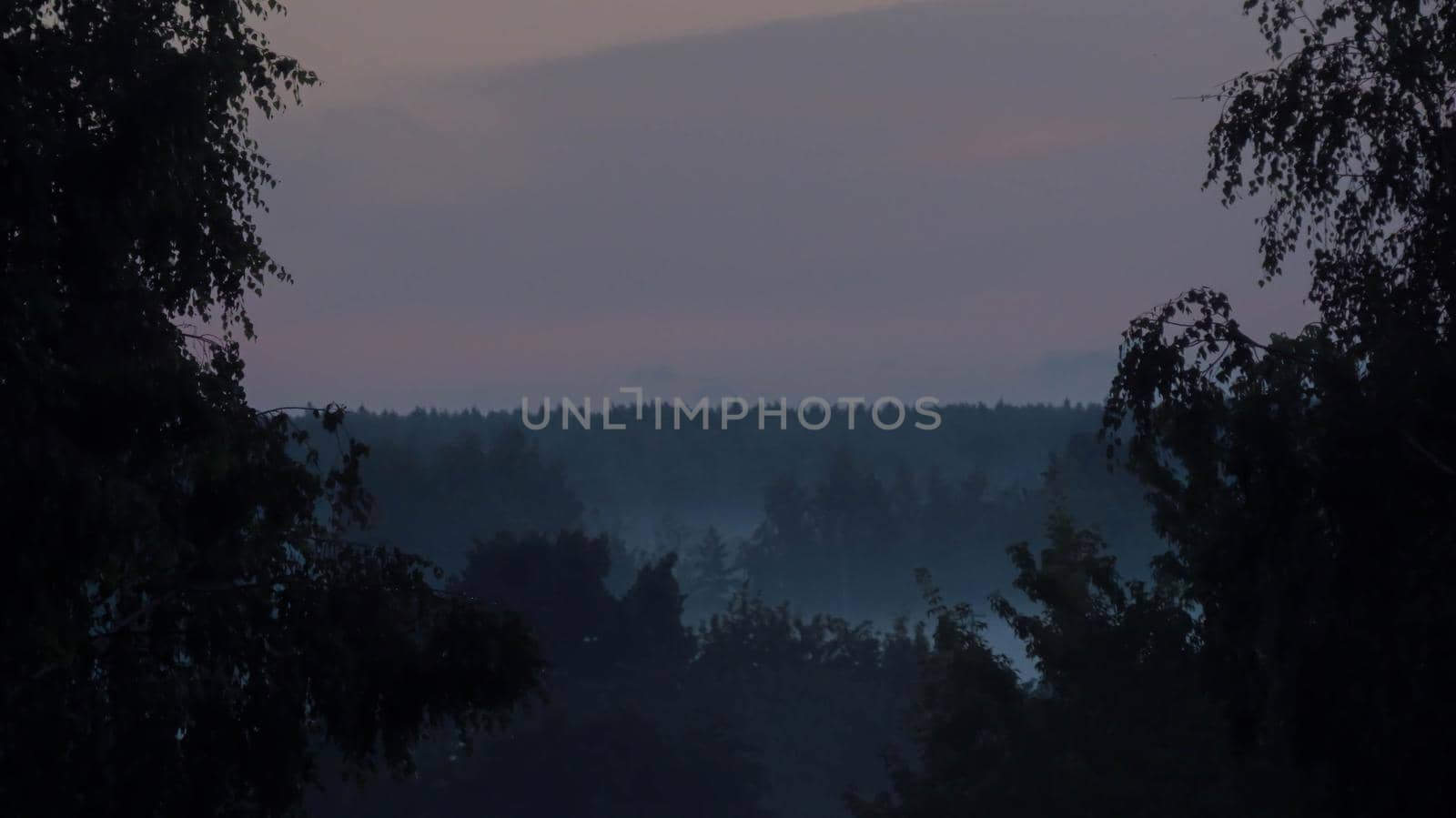 The forest in the valley in the morning is very foggy, the atmosphere looks scary. Dark tone and vintage image.