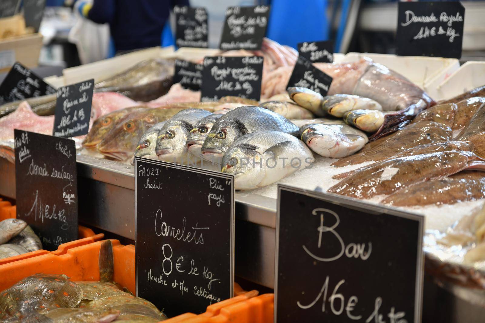A counter with fresh fish dorado,carrelet,perch at the local famous fish market