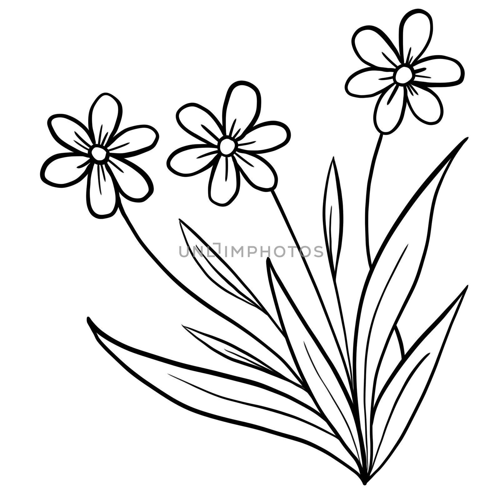 Hand drawn floral flower leaves illustration, black white elegant wedding ornament, Line art minimalism tatoo style design summer spring nature branch foliage blossom