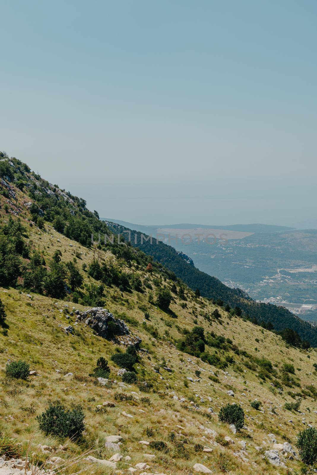 Panoramic view of idyllic mountain scenery in the Alps with fresh green meadows in bloom on a beautiful sunny day. Summer mountain landscape Landcscape hight mountains. Landscape in the fields. by Andrii_Ko