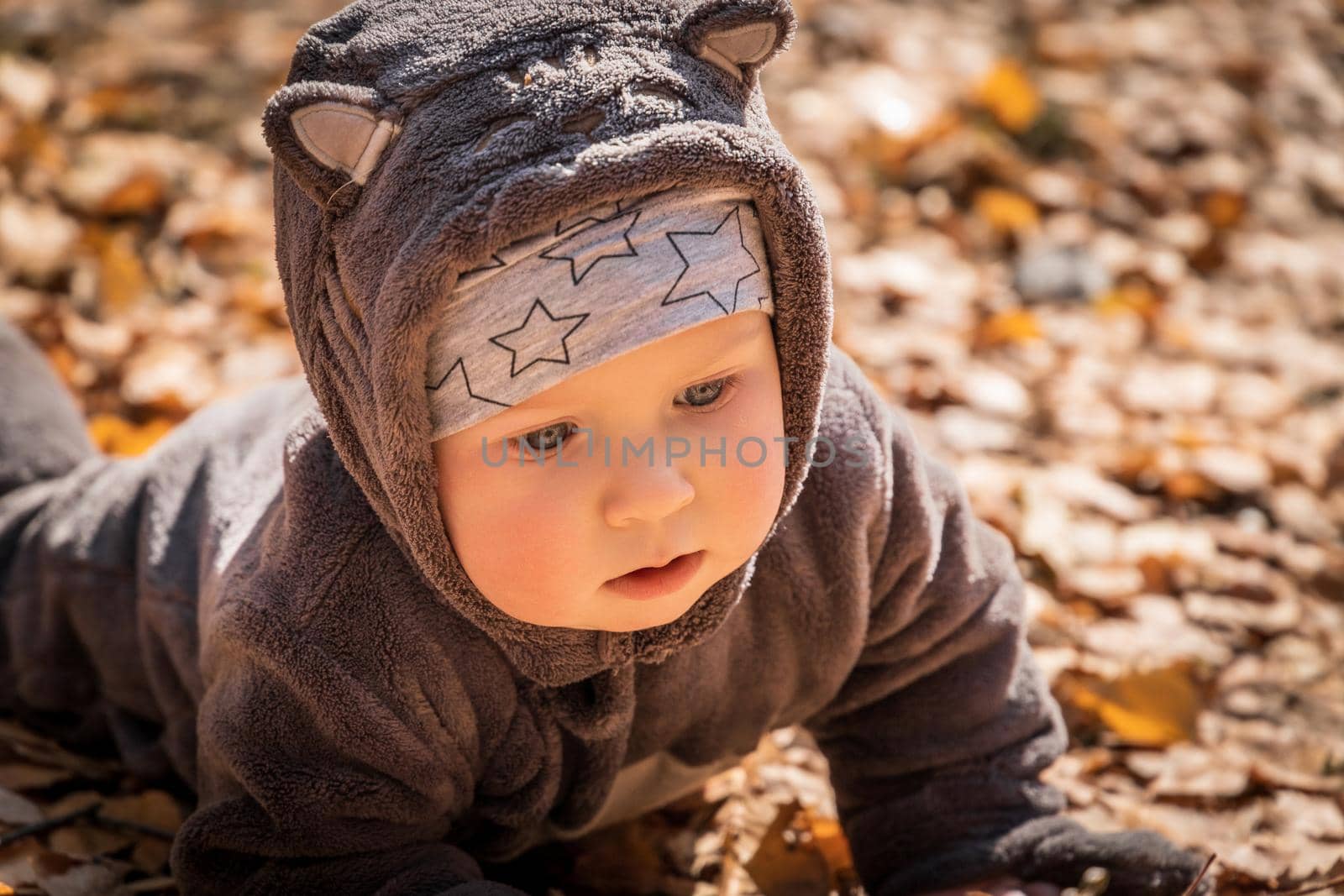 Portrait of baby boy in funny jumpsuit with ears on autumn leaves.