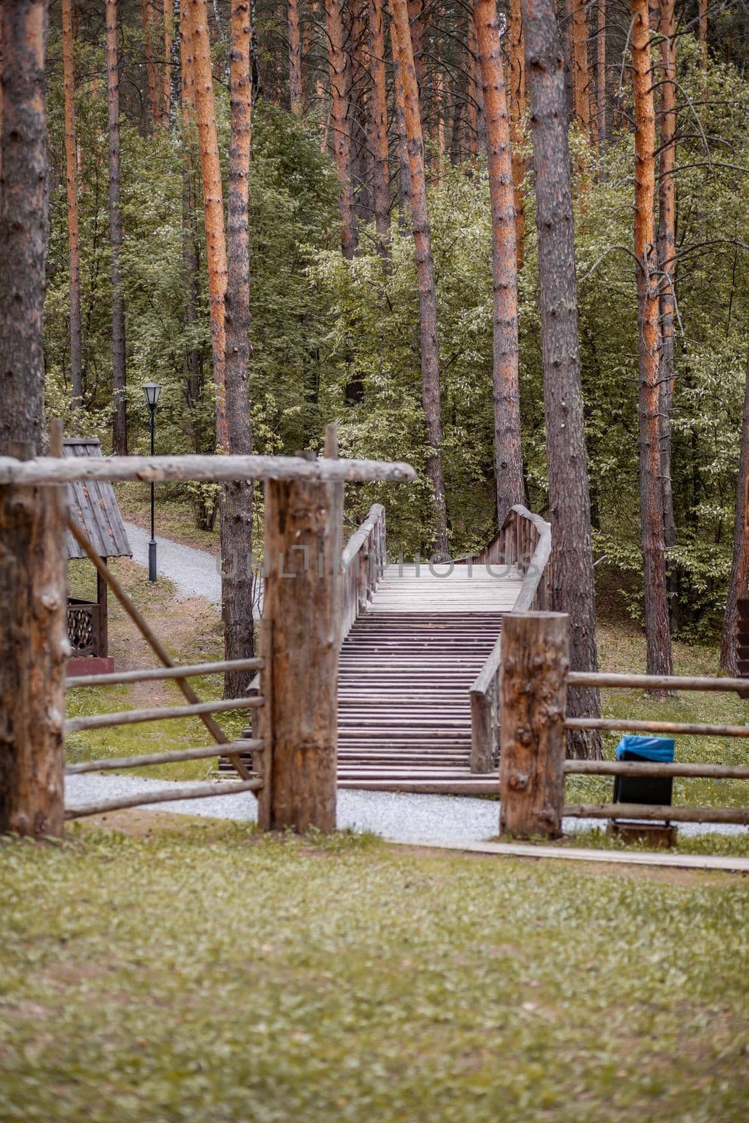 Wooden, pedestrian bridge across the river in the park or in forest. by AnatoliiFoto