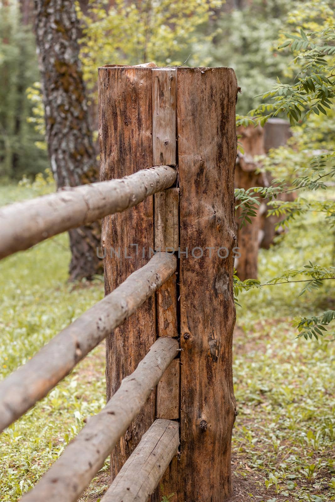 Large wooden fence posts that enclose an old wooden house in forest by AnatoliiFoto