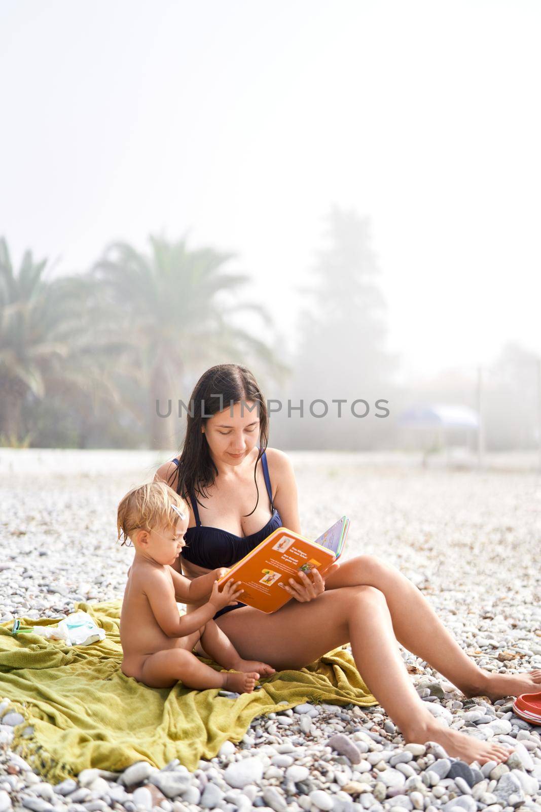 Mom reads a book to a little girl sitting on a blanket on the beach by Nadtochiy