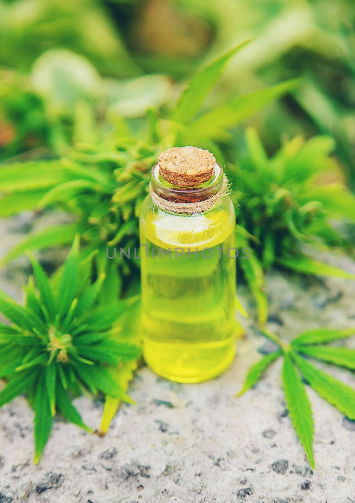 cannabis oil in a small jar. Selective focus.nature