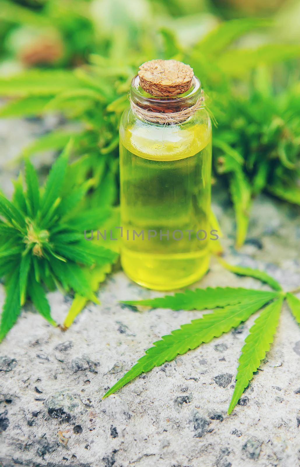 cannabis oil in a small jar. Selective focus. by mila1784