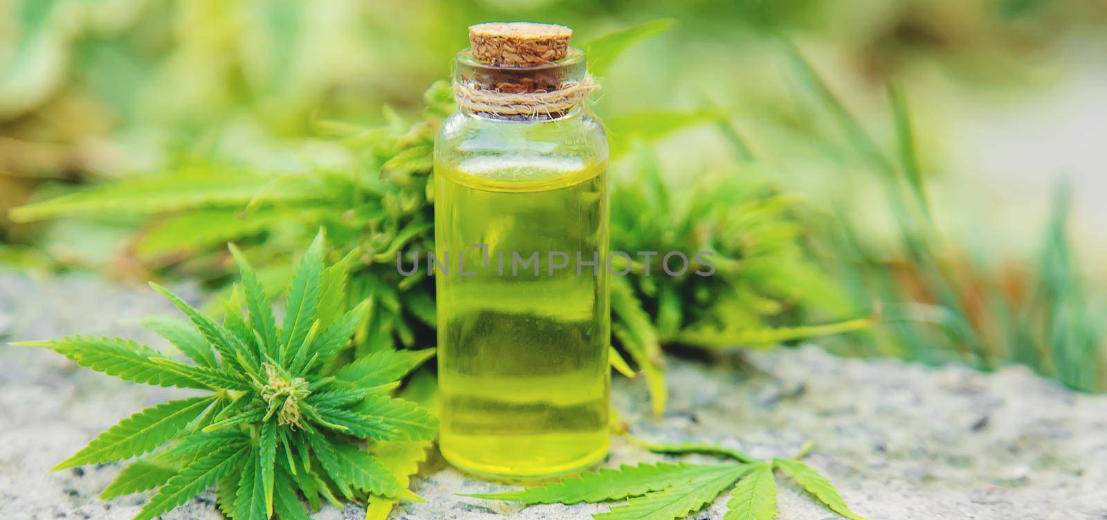cannabis oil in a small jar. Selective focus.nature