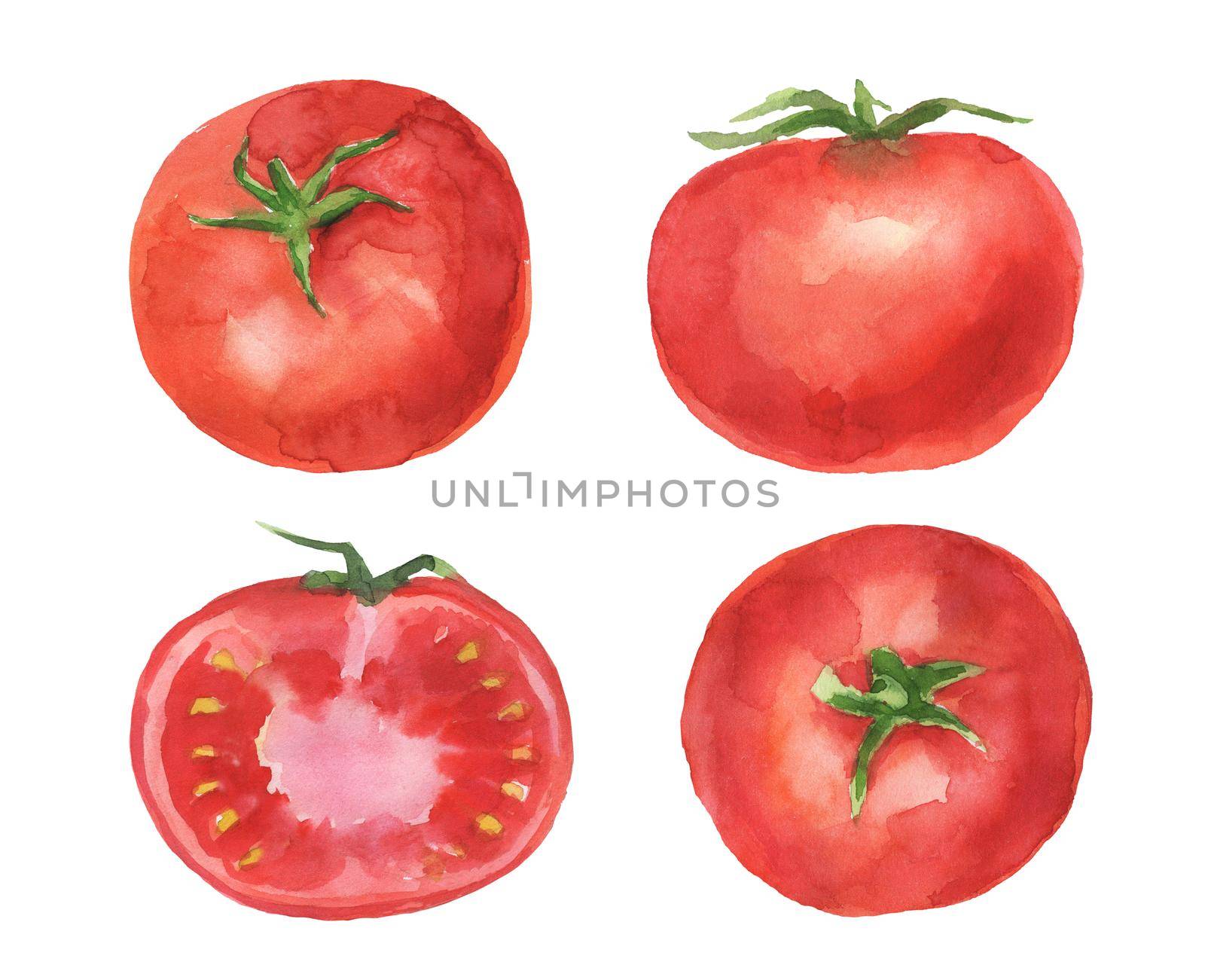 Watercolor tomato set. Painting raw vegetable isolated on white background