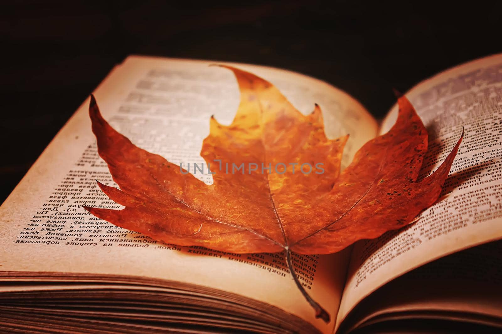 Autumn leaves and a book. Selective focus.nature
