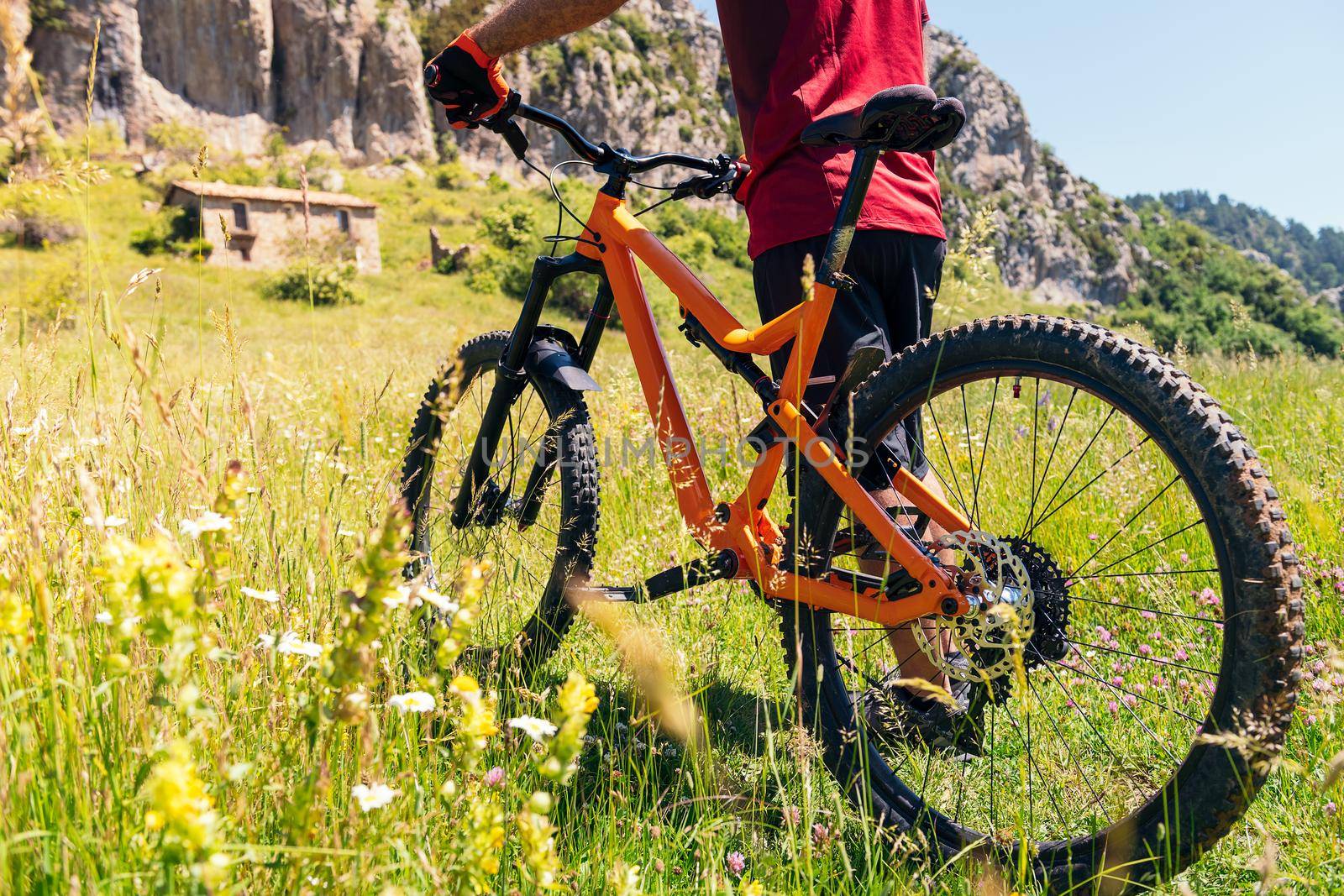detail the wheels of a mountain bike and the legs of a cyclist walking through a flower meadow, concept of sport and healthy lifestyle in nature