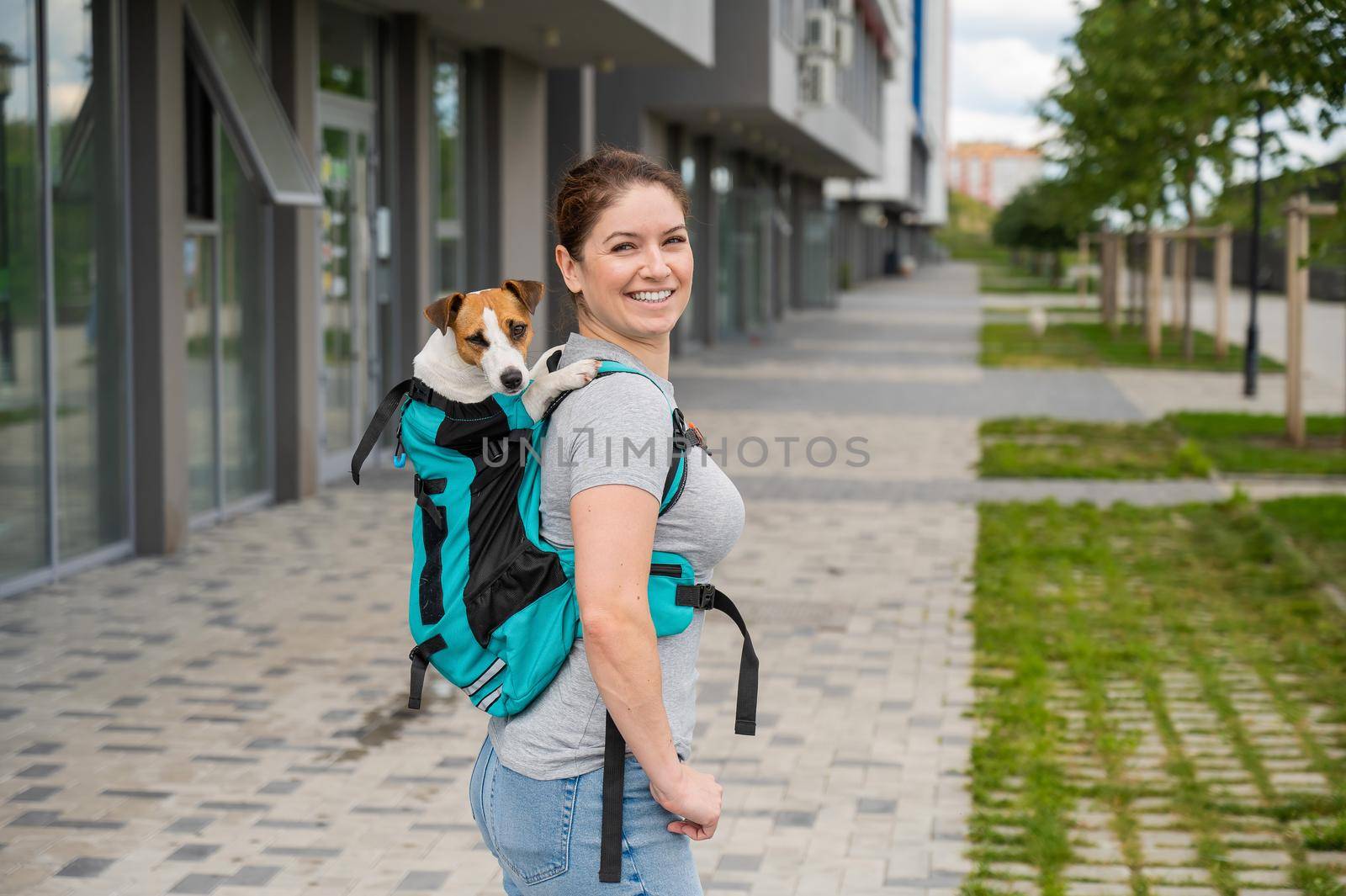 Caucasian woman walking outdoors with dog jack russell terrier in a special backpack. by mrwed54