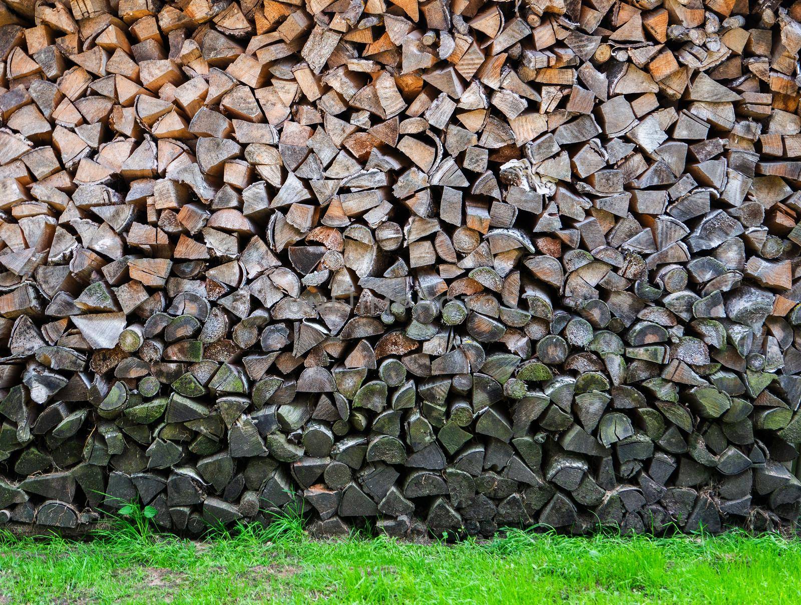 Chopped wood background. View of the ends of sawn pine logs lying on top of each other on green grass.