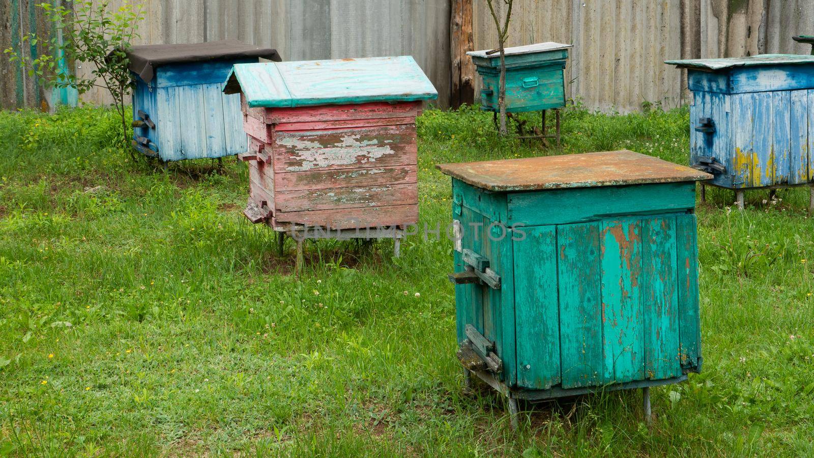 Beehives with bees in a honey farm. Hives of bees in the apiary.