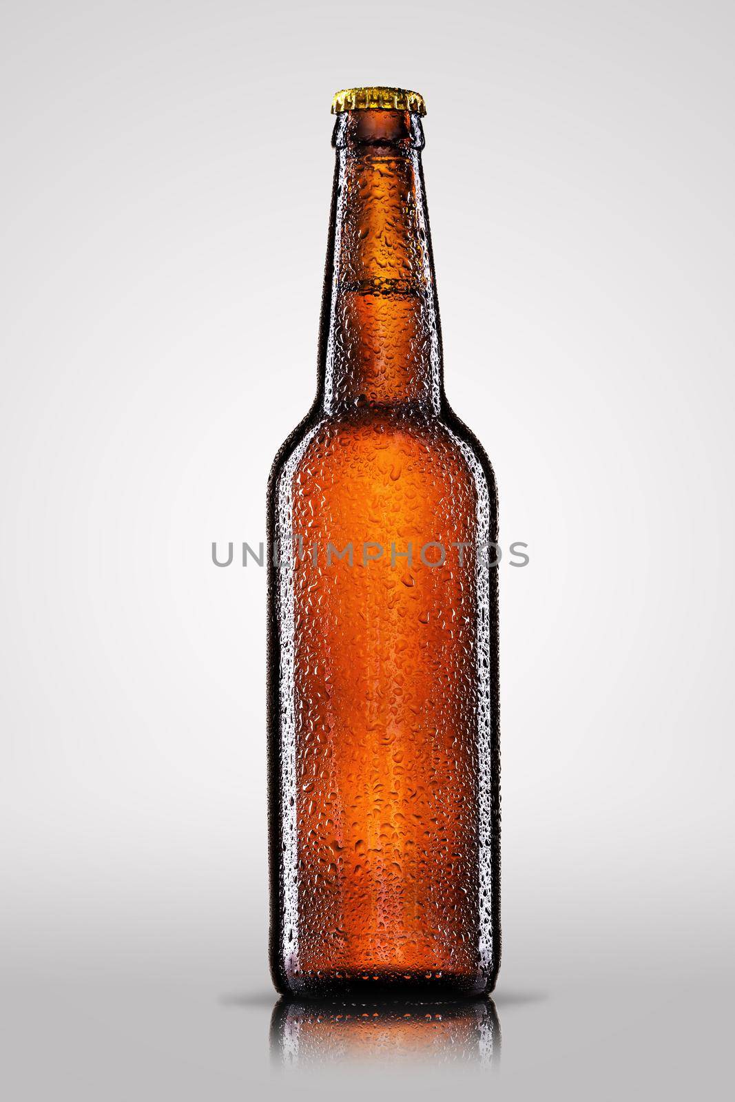 Cold bottle of beer with drops isolated on gray background.