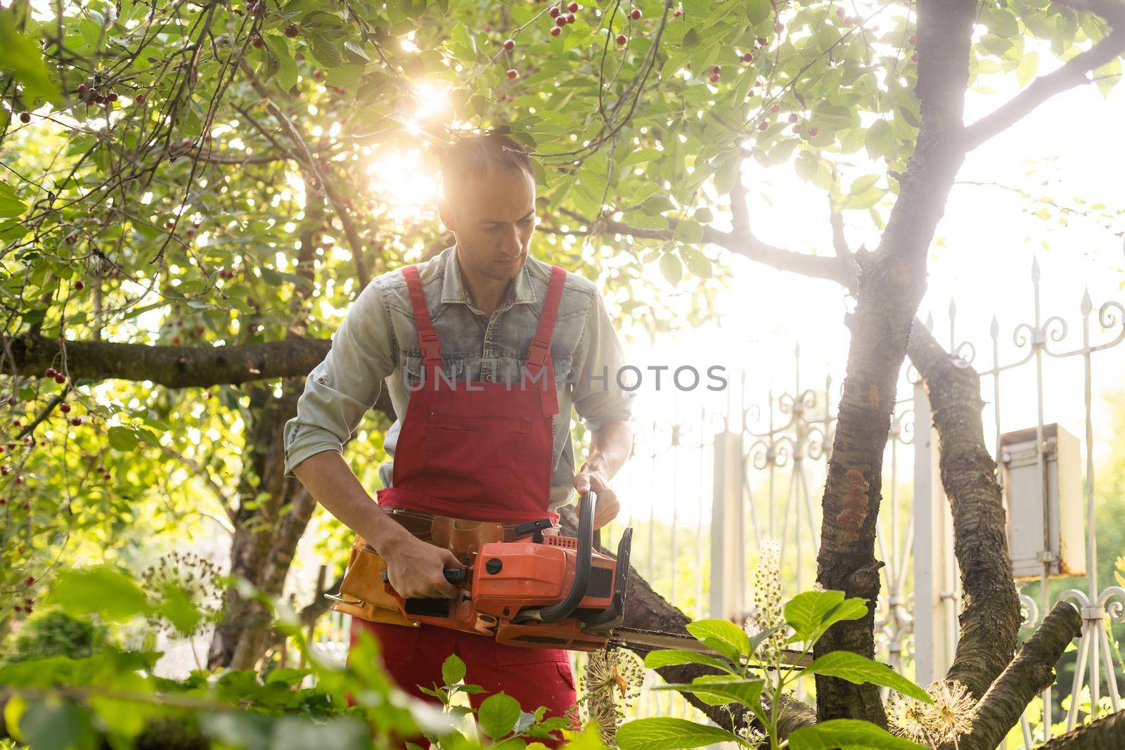 handsome young man gardener trimming hedgerow in a garden park outdoor