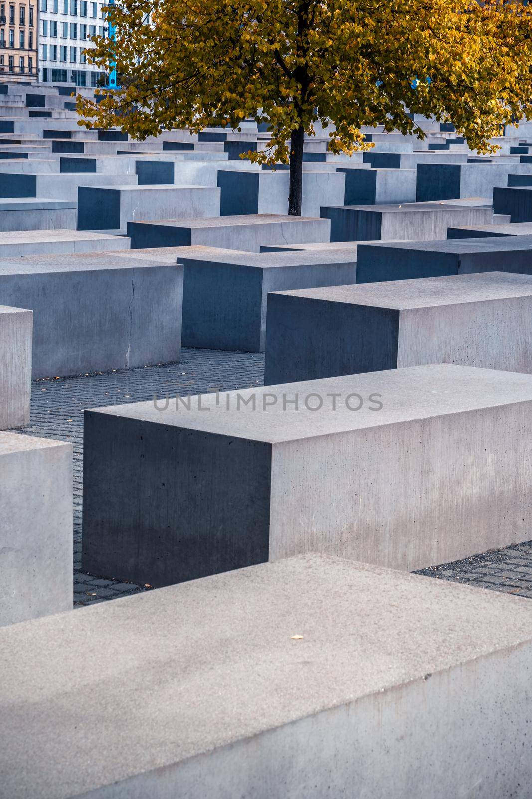 Berlin, Germany - 20 September 2019: Autumn tree between concrete slabs of Holocaust Memorial in Berlin