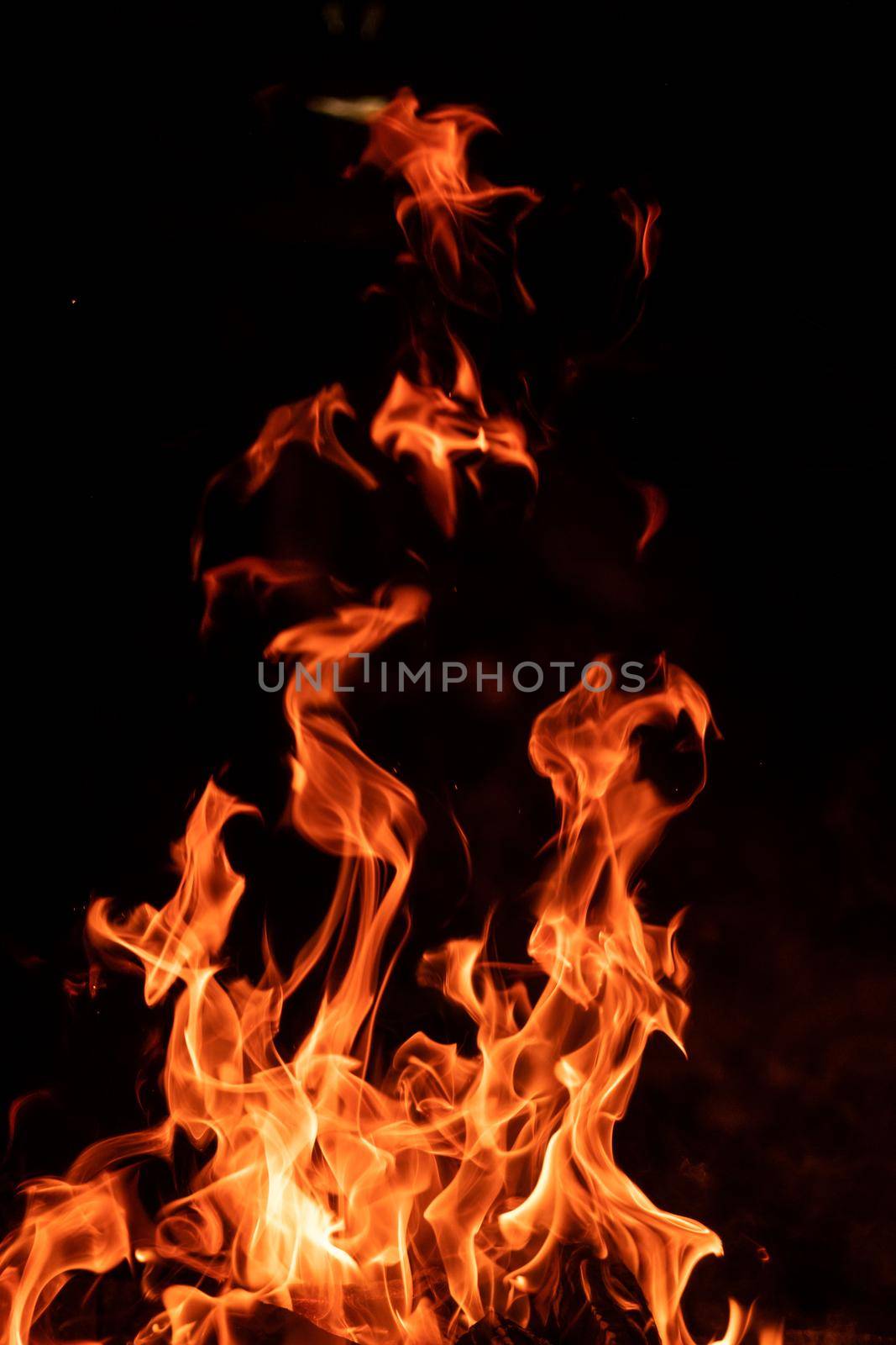 Orange high fire flame isolated on black background. Fiery tongues of bonfire