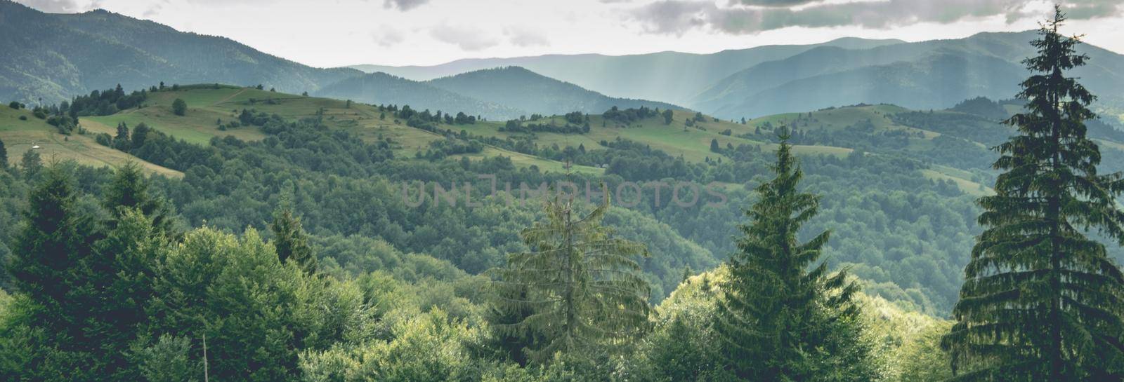 Panoramic view on mountains valley and hills with green forest in cloudy day