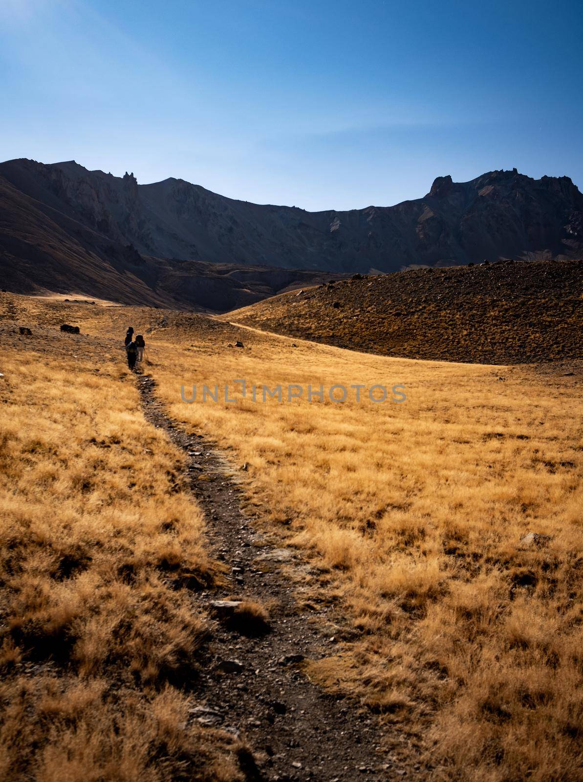 Hiking on volcano Erciyes in Turkey in sunrise time. People with backpacks climbing to the top of mountain and following beautiful road with yellow grass. Scenery Kayseri landscapes with blue sky