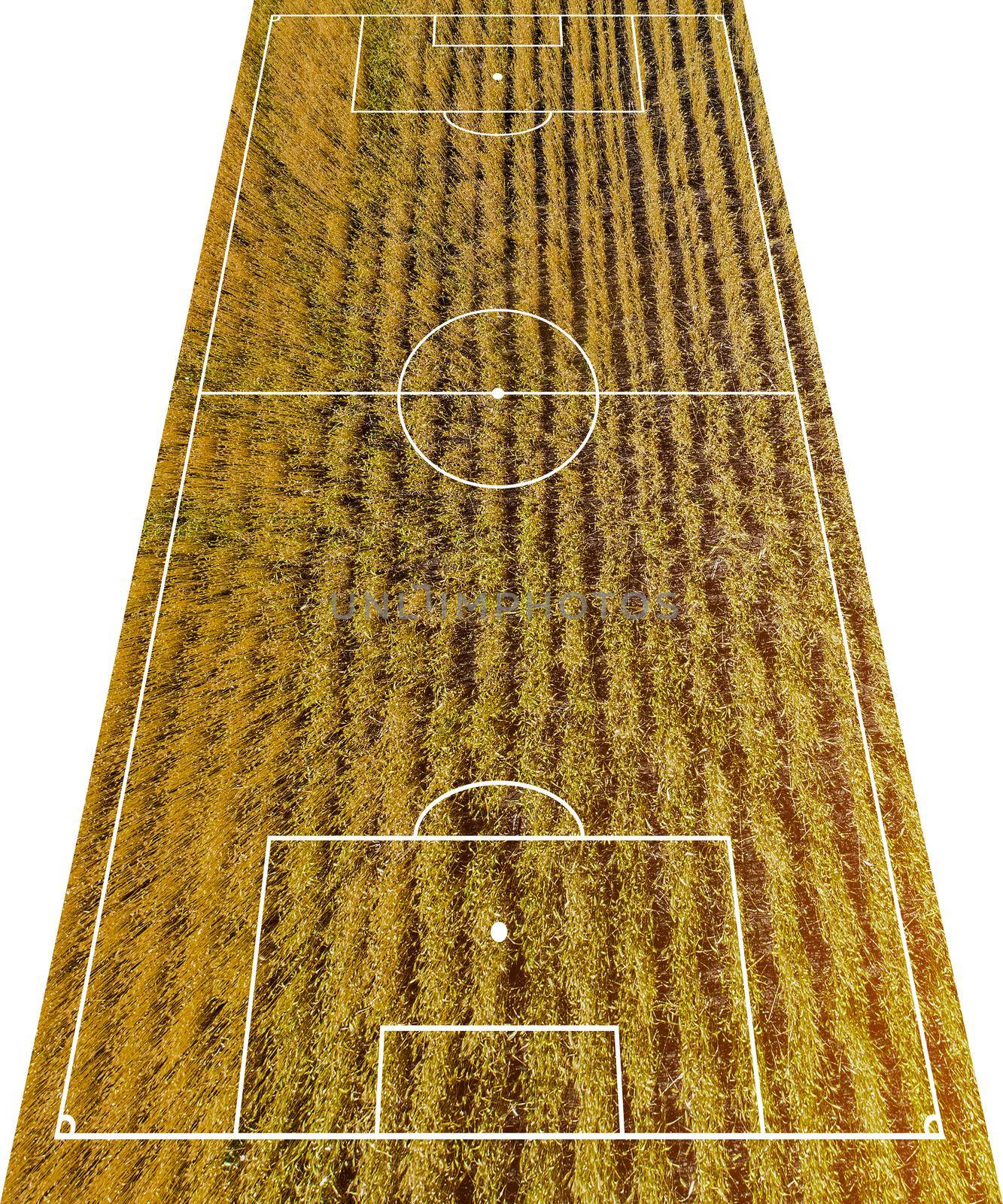 Concept of football field. Soccer field illustration on white canvas. Yellow wheat realistic texture top view on white background.