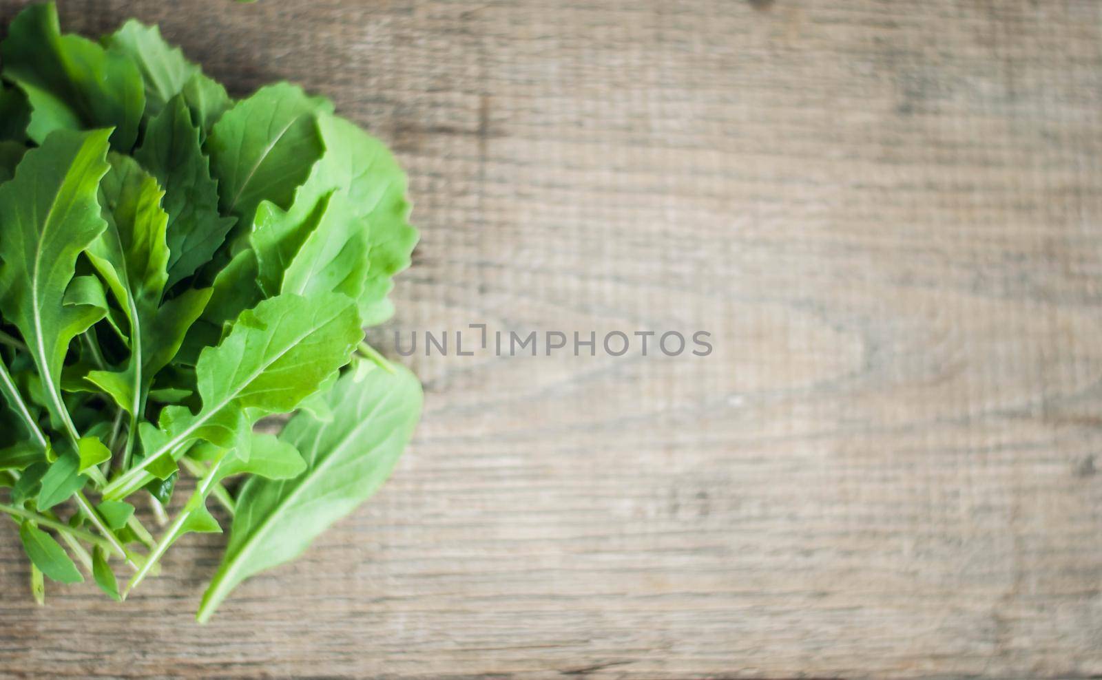 fresh bunch of rucola with space for text