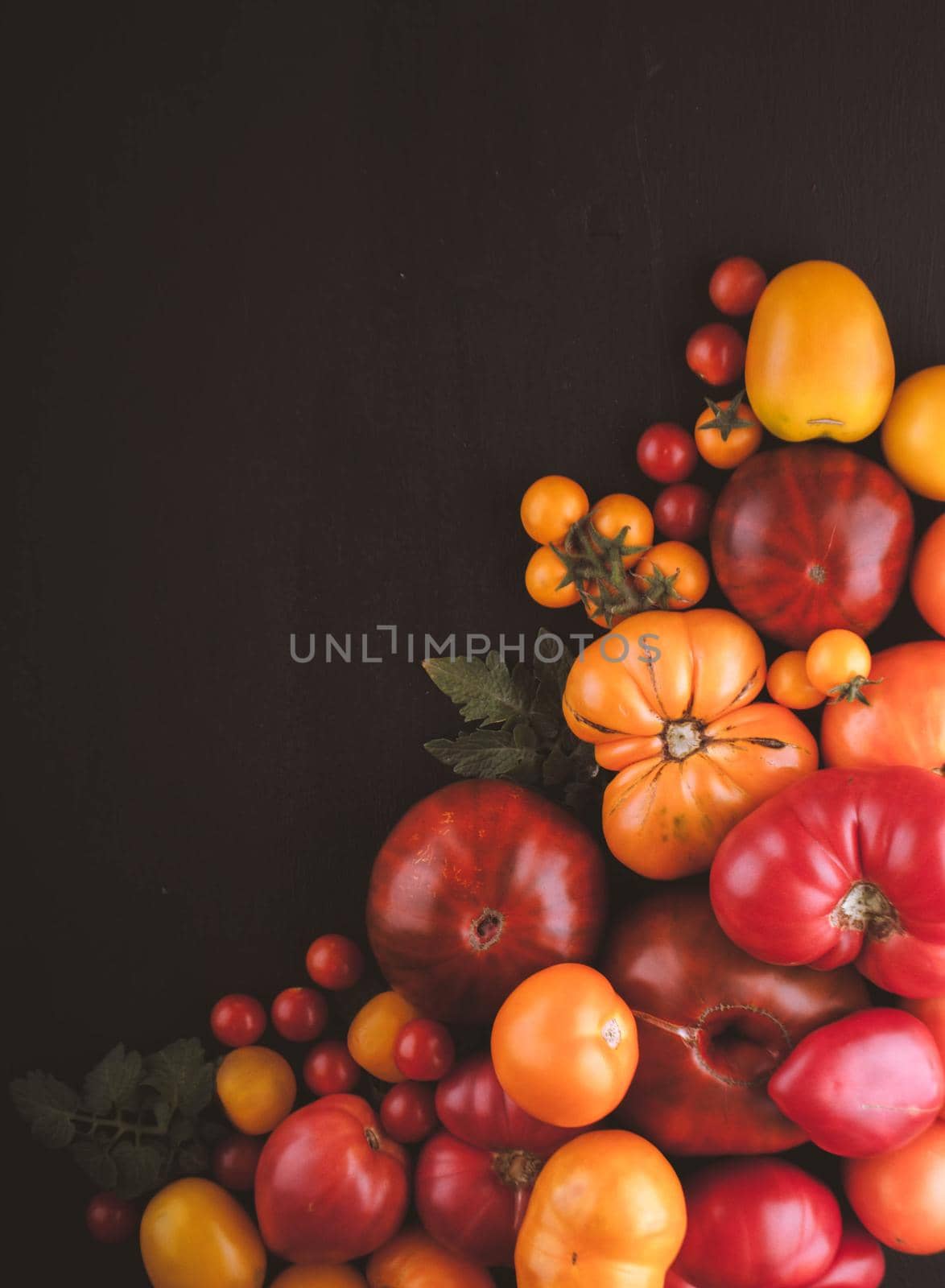 variation of fresh ripe tomatoes on wooden background