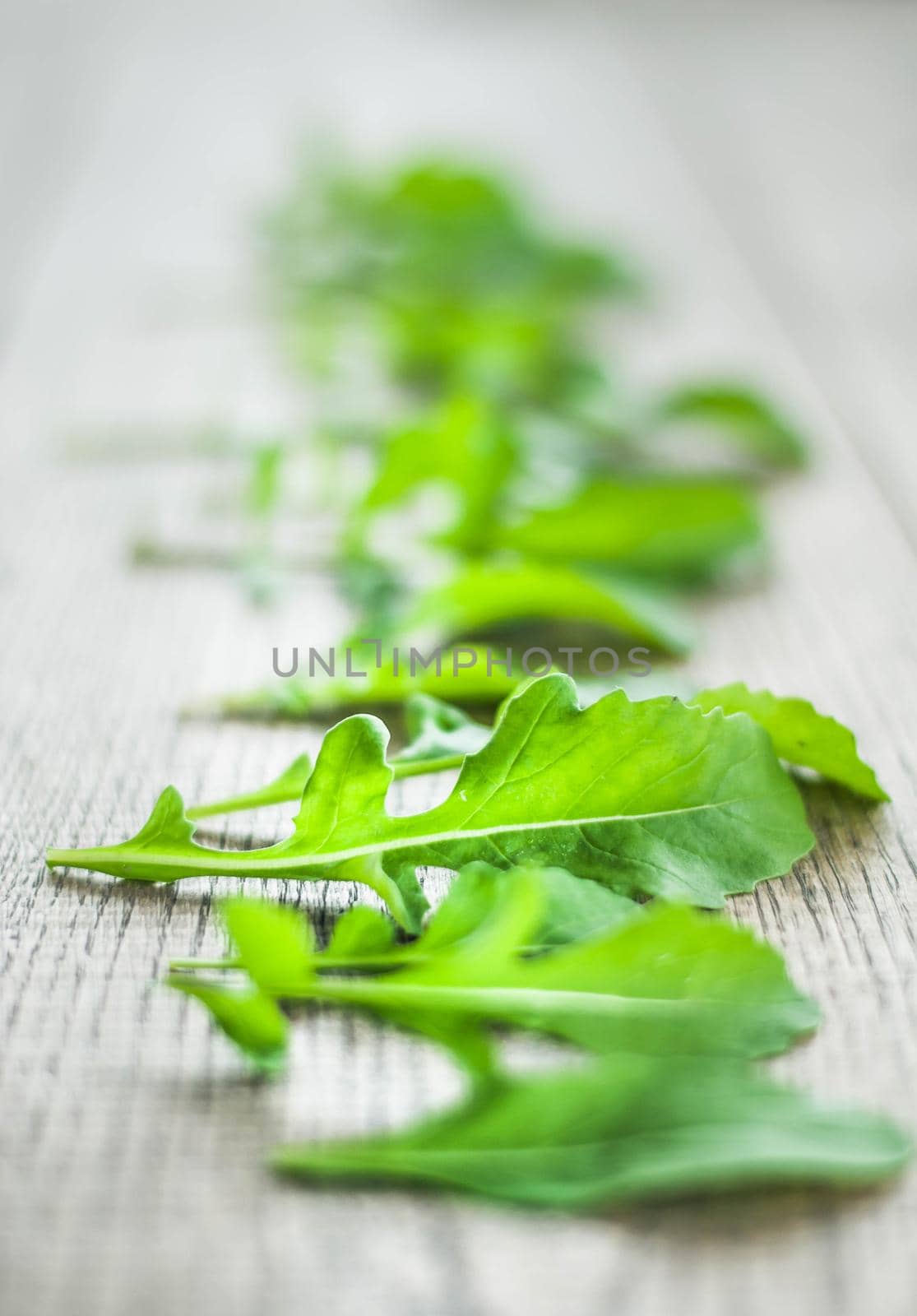 fresh home picked rucola on wooden background