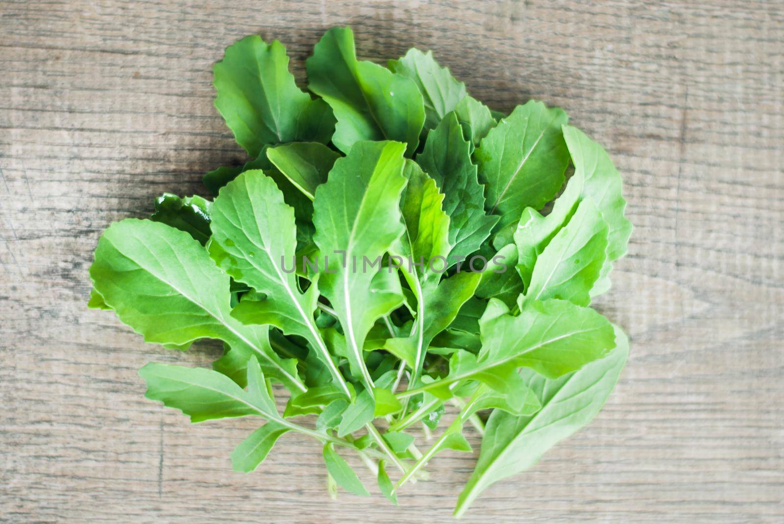 fresh home picked rucola on wooden background