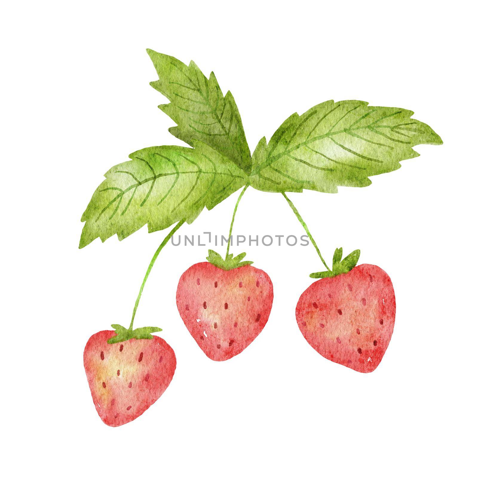 Watercolor cute strawberry and green leaves. Stylized drawing illustration of summer berry isolated on white