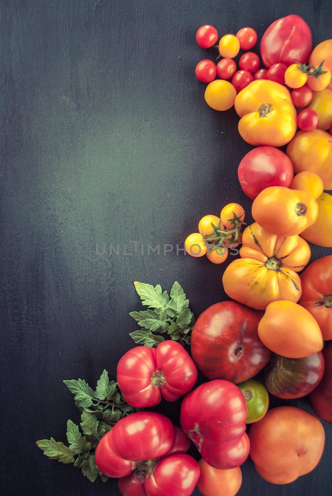 variation of fresh ripe tomatoes by maramorosz