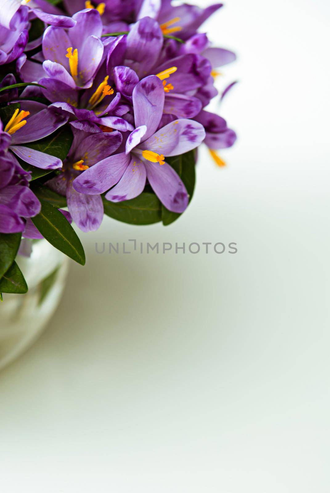 spring bouquet of crocuses in vase on table