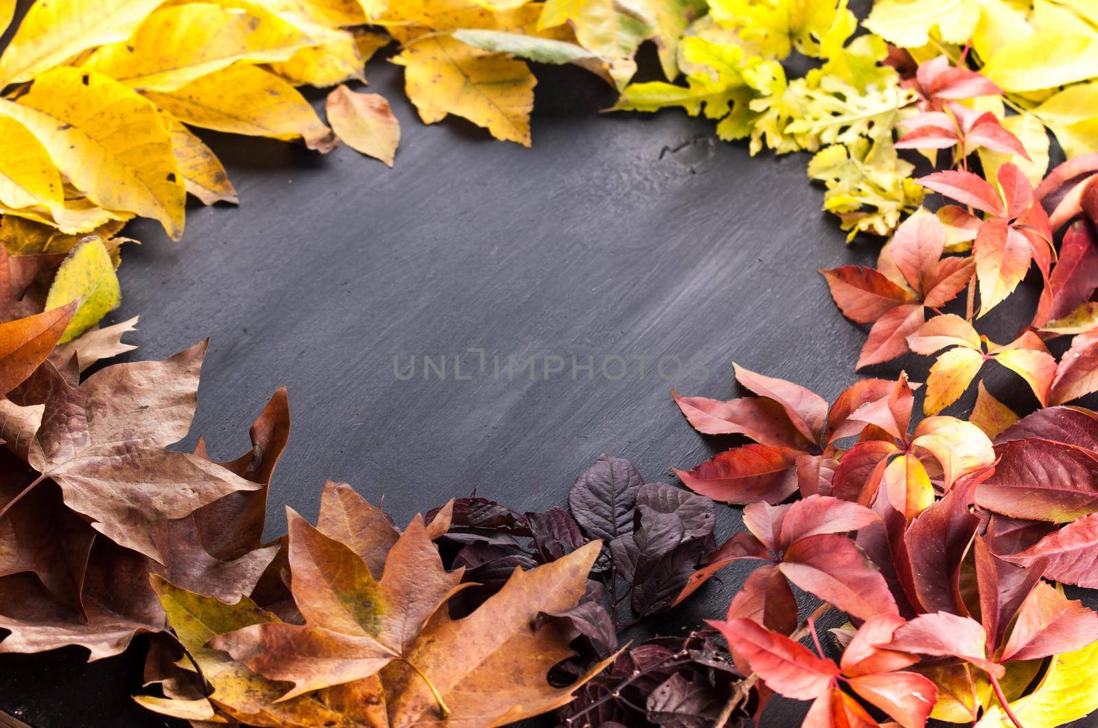 colorful leaves on black wooden background with space for text