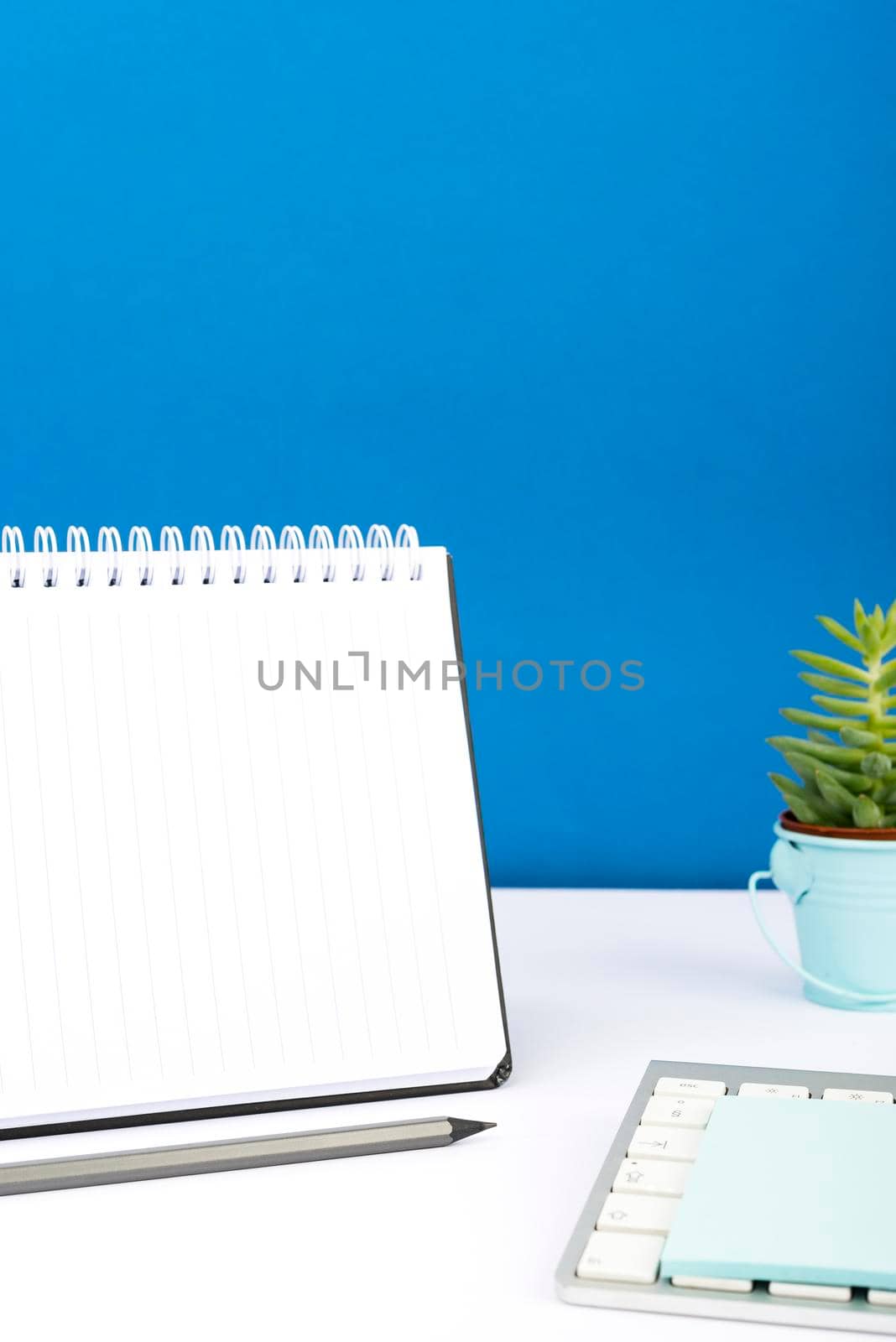 Important Message Written On Notebook On Desk With Pencil, Keyboard, Note And Flower. Crutial Informations Presented On Notepad On Table With Plant. Critical Updates Dispayed. by nialowwa