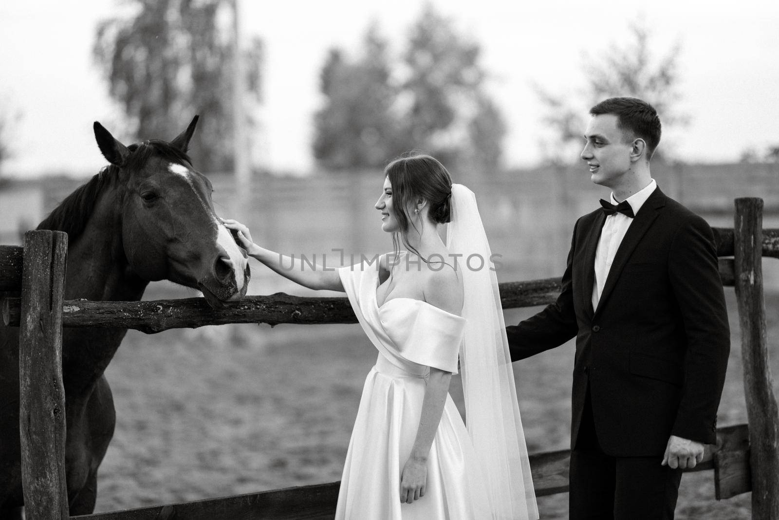 young couple the groom in a black suit and the bride in a white short dress on a walk in the village