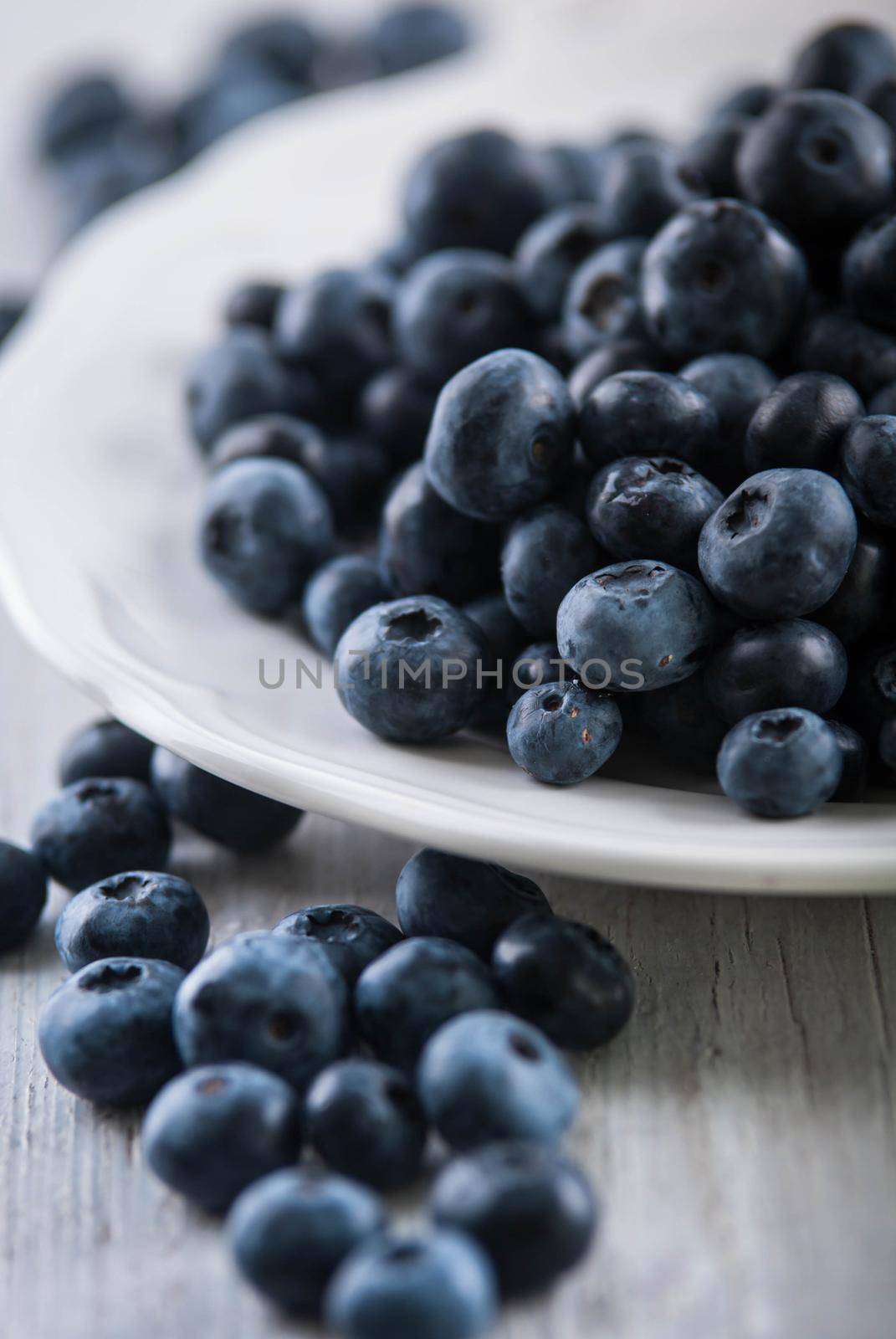 fresh blueberry in ceramic pot. High quality photo