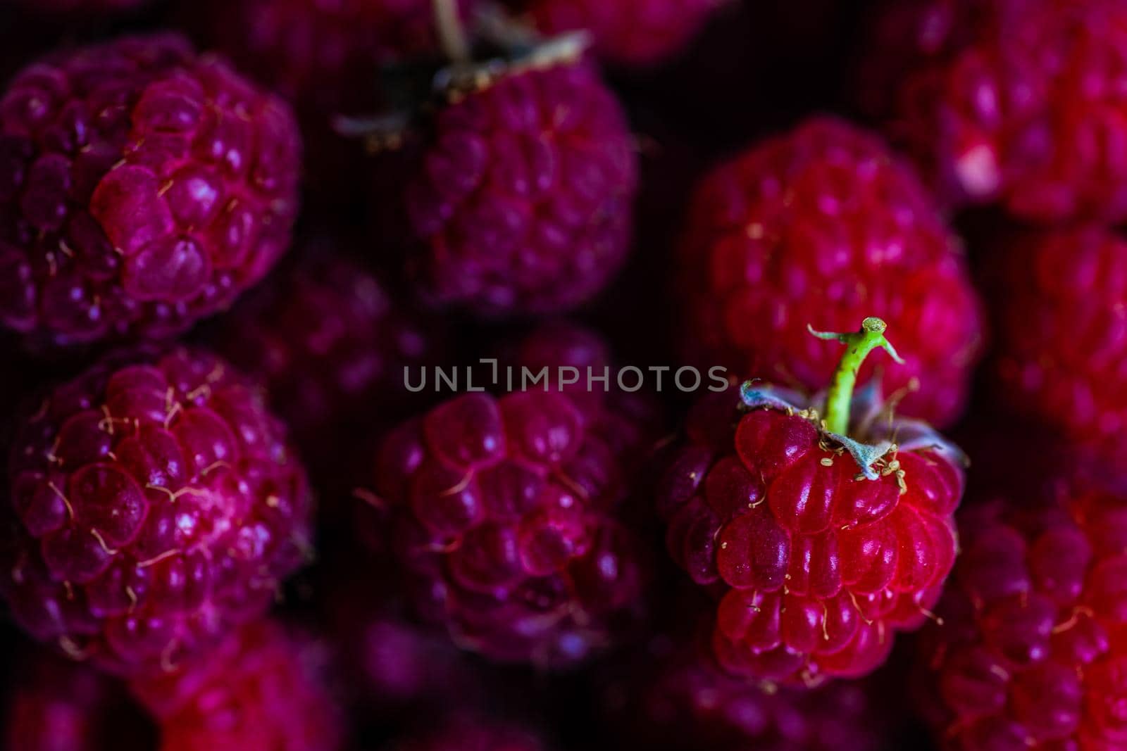 Close up of ripe raspberries by Elet