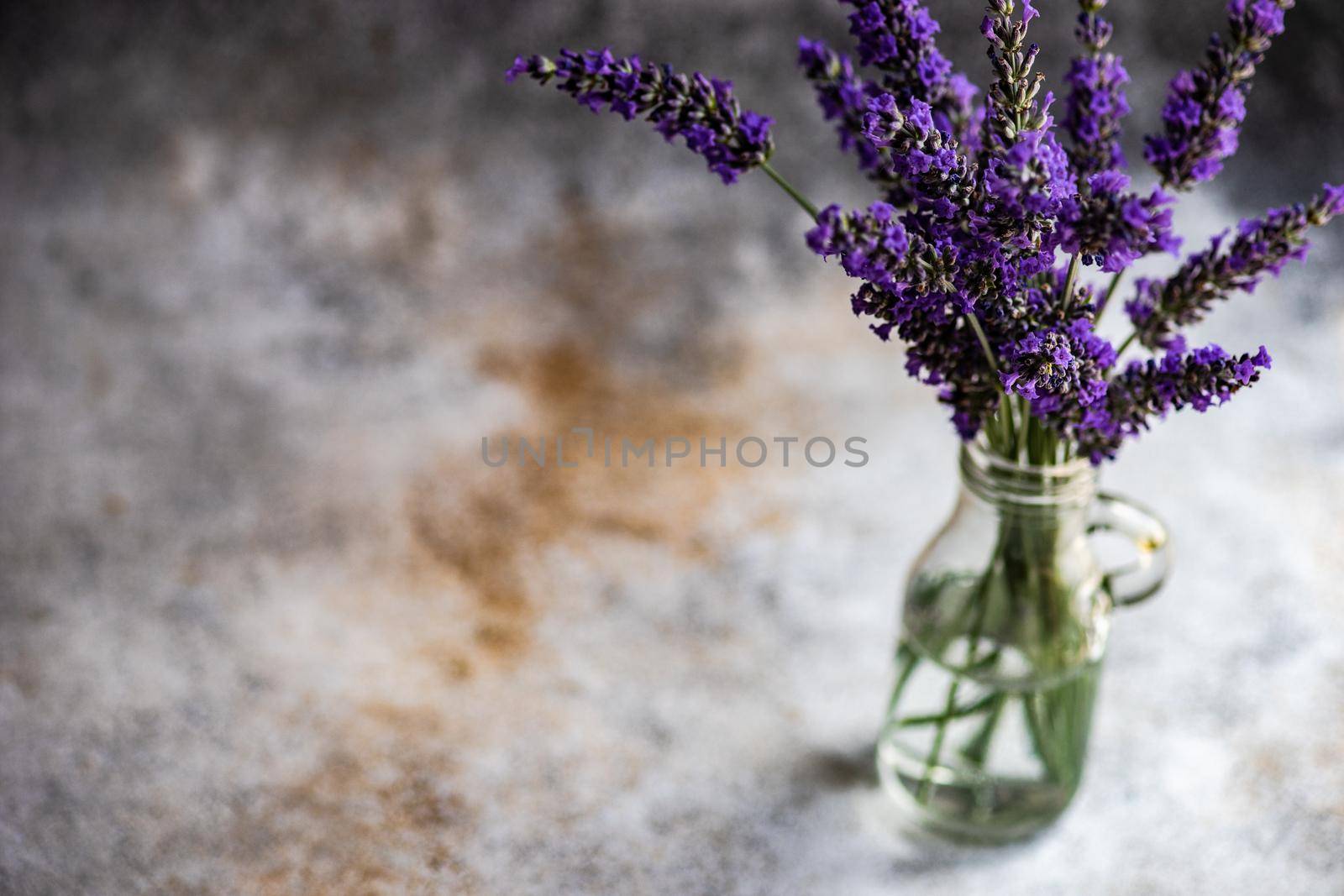 Purple lavender flowers in bouquet on concrete background