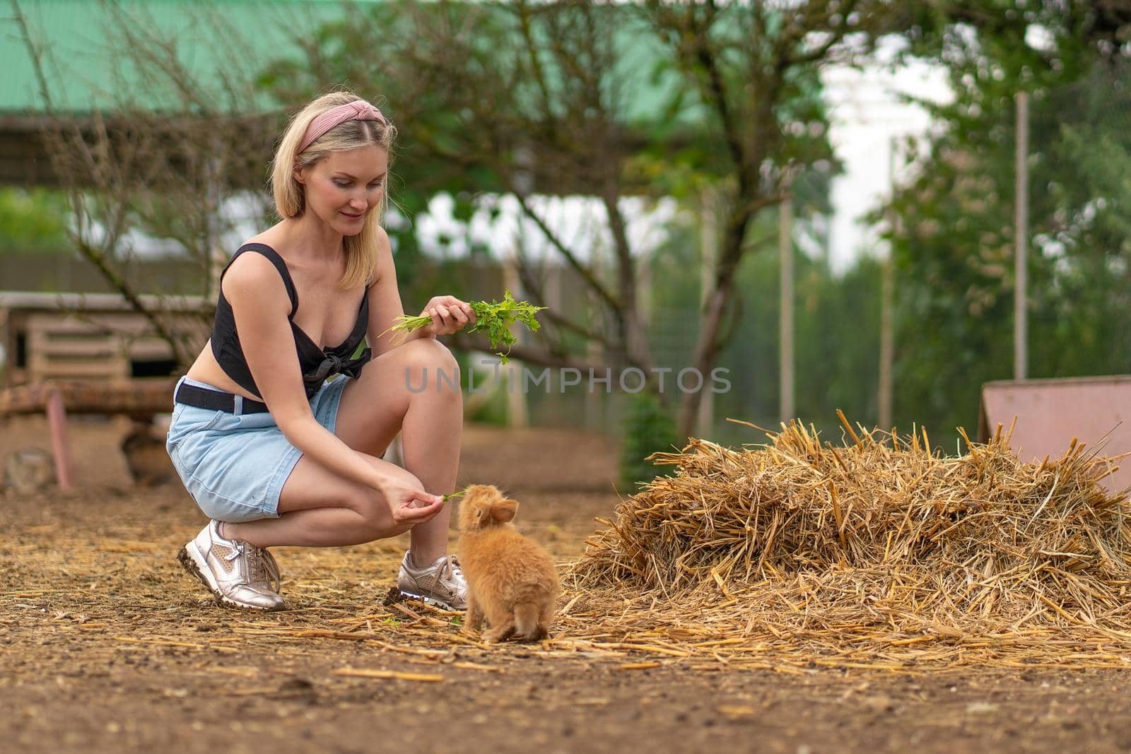 Girl rabbit parsley easter feeds brown bunny white nature green, for group young in hair from furry sweet, beautiful animal. Closeup little, by 89167702191