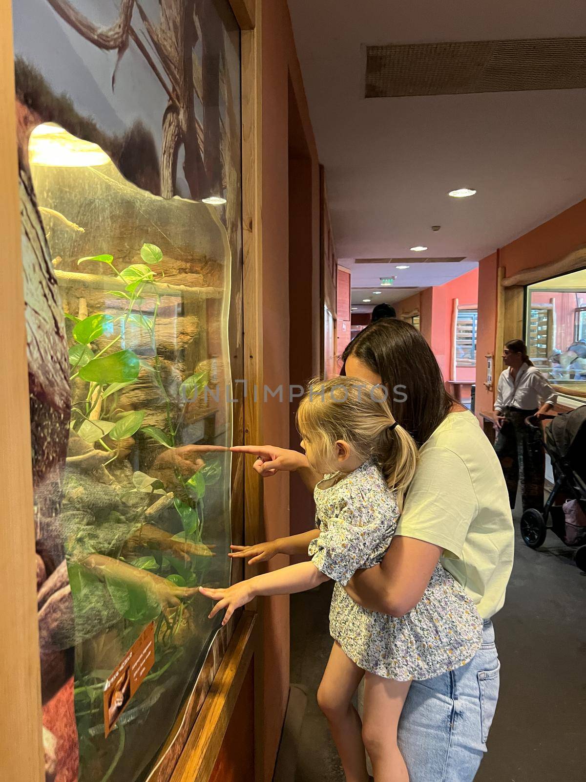 Mom shows the little girl a terrarium behind glass by Nadtochiy