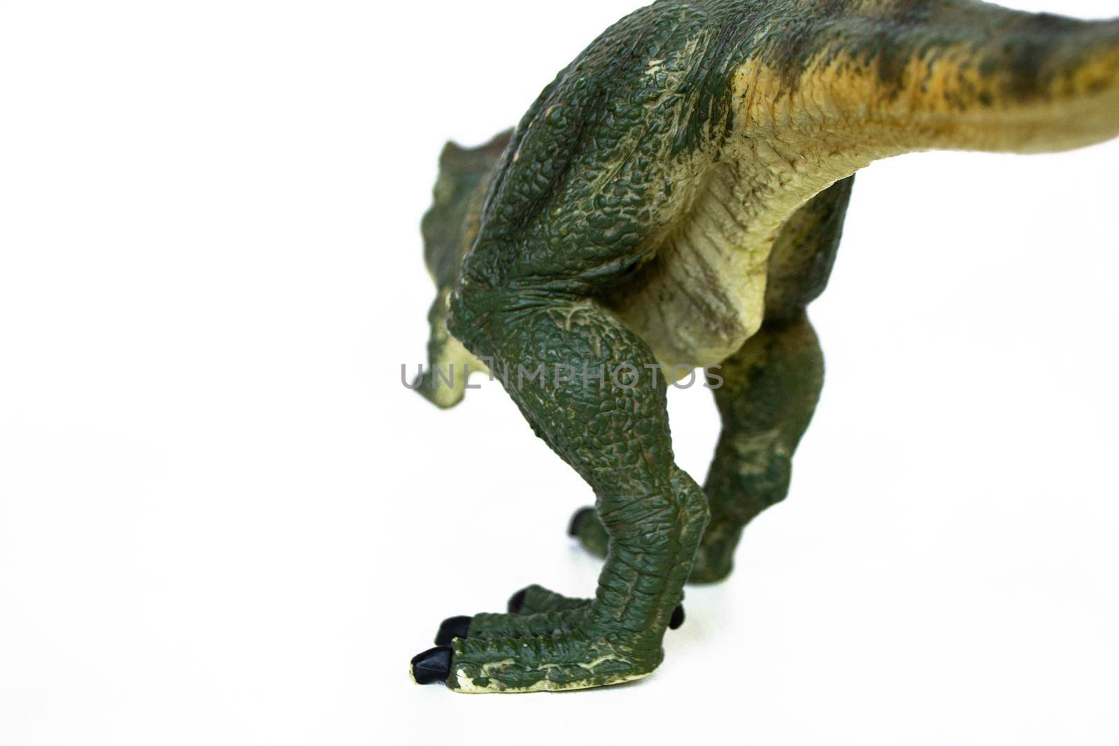 Tyrannosaurus dinosaurs toy isolated on white background with clipping path. High quality photo